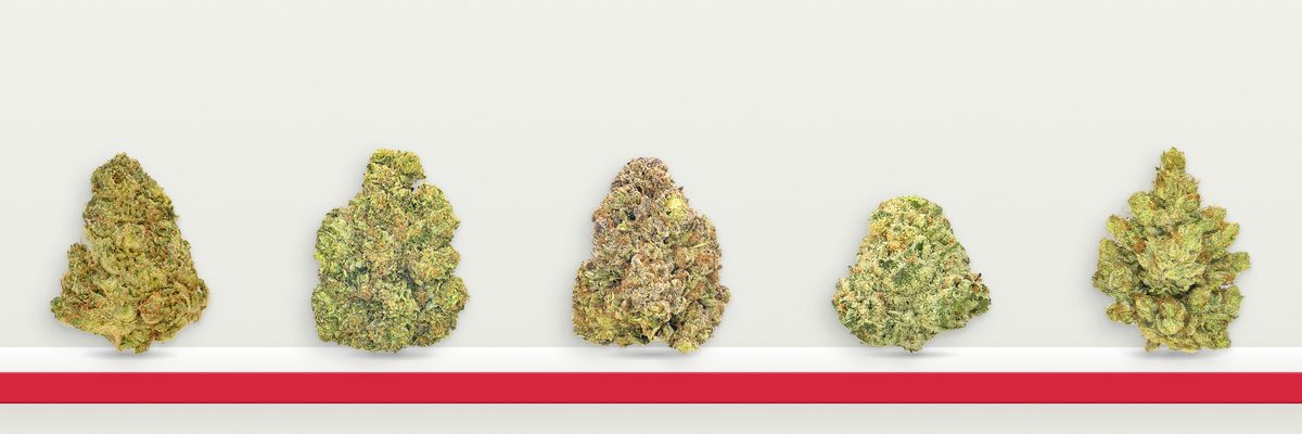 Chem Dawg, Double O.G., Master Kush, Sour OG and Emperor O.G. cannabis flower on a red-edged endcap shelf