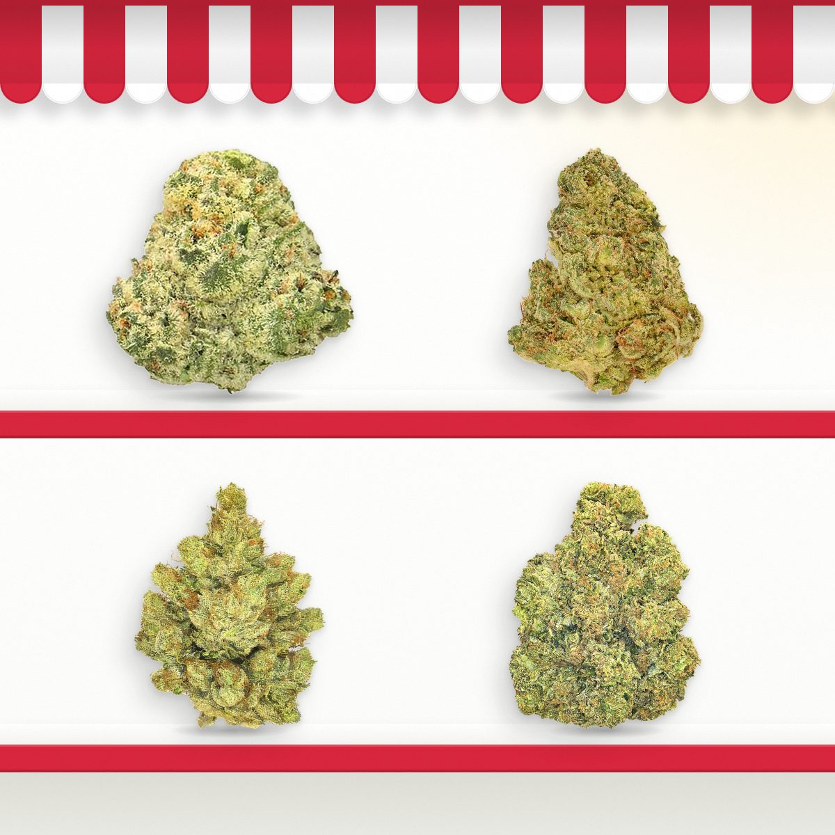 Sour OG, Chem Dawg, Emperor O.G. and Double O.G. cannabis flower on two red-edged store shelves